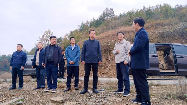 陜西科技控股集團有限責任公司黨委副書記、總經理周吉峰一行赴紫陽縣蒿坪鎮調研鄉村振興示范鎮建設工作并看望慰問掛職干部
